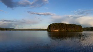 tree-covered island off Siljansnas